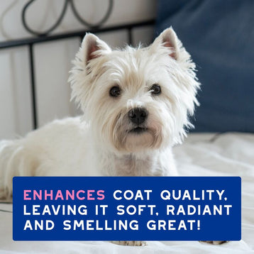 DOUXO® SPA Itch Shampoo