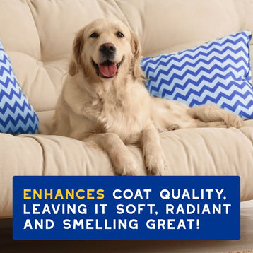  DOUXO® SPA Hydrating Shampoo