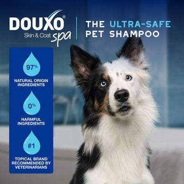 DOUXO® SPA Leave-on Mousse
